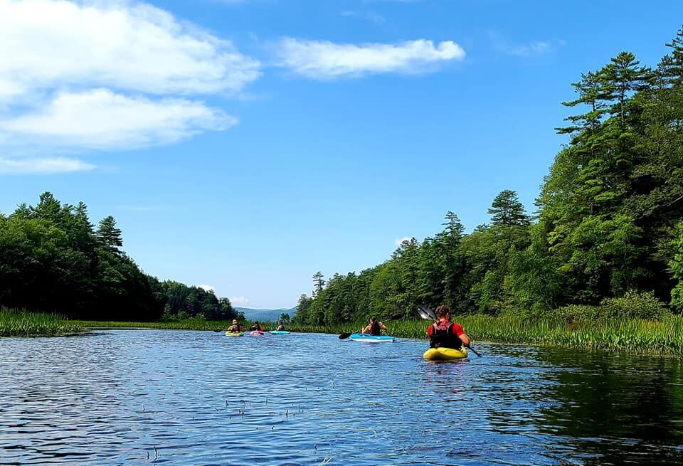 kayaks.jpg